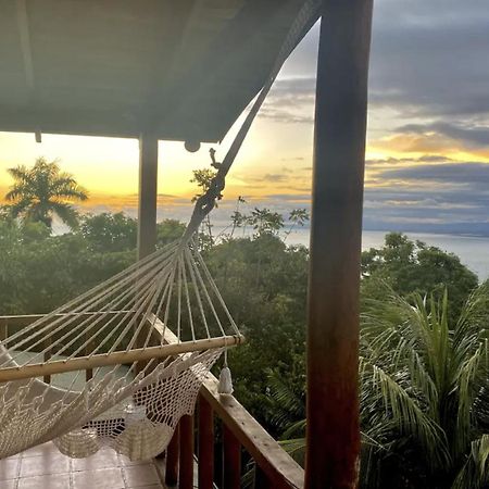 Mizaru Ocean View Hotel Manuel Antonio ケポス エクステリア 写真