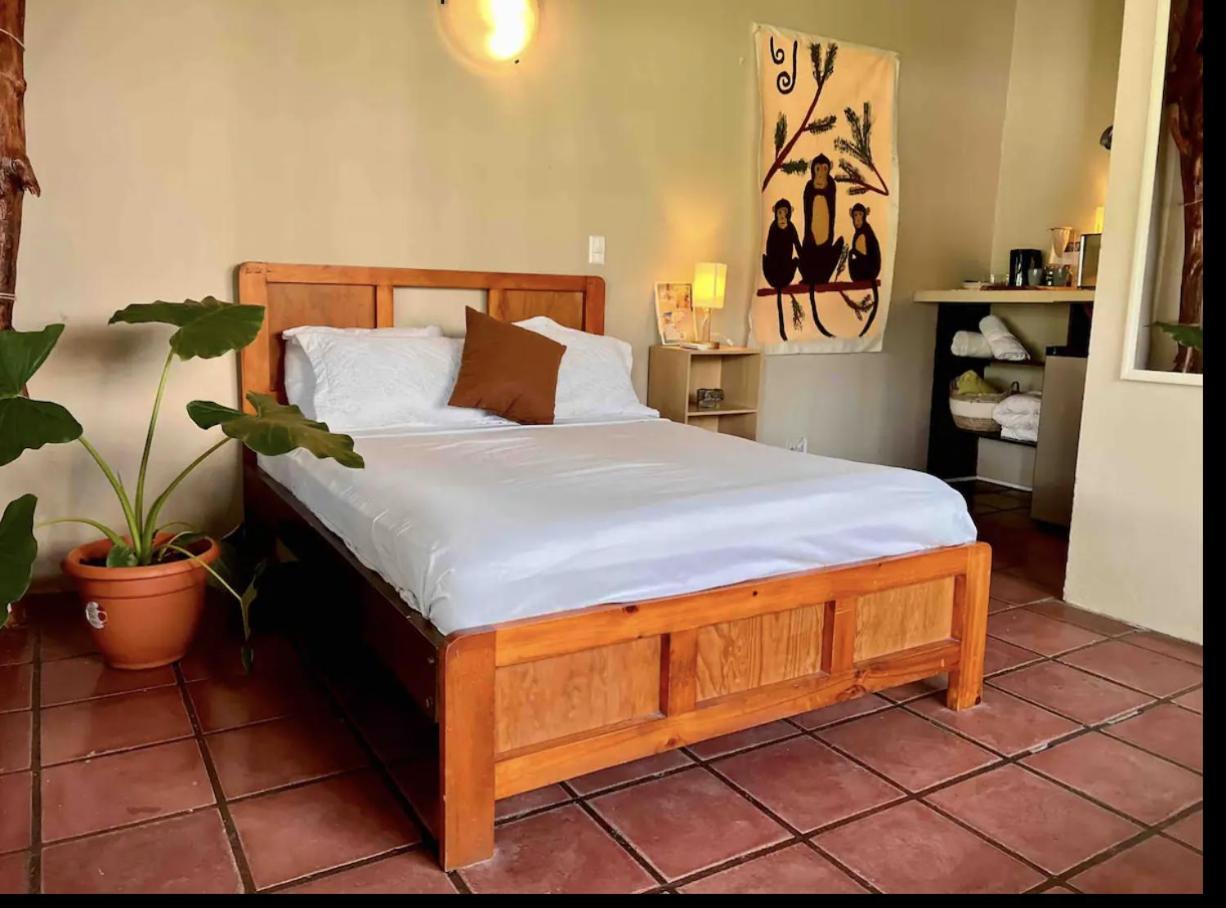 Mizaru Ocean View Hotel Manuel Antonio ケポス エクステリア 写真