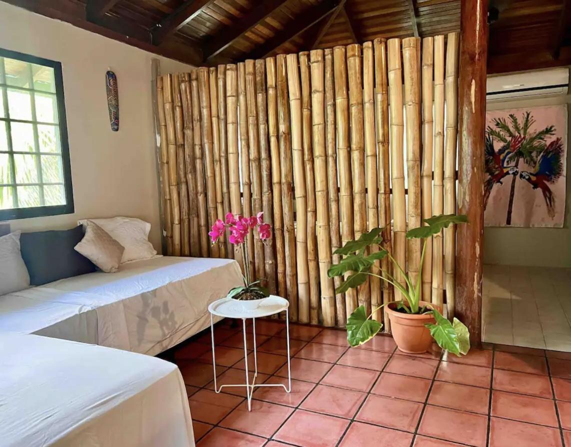 Mizaru Ocean View Hotel Manuel Antonio ケポス エクステリア 写真