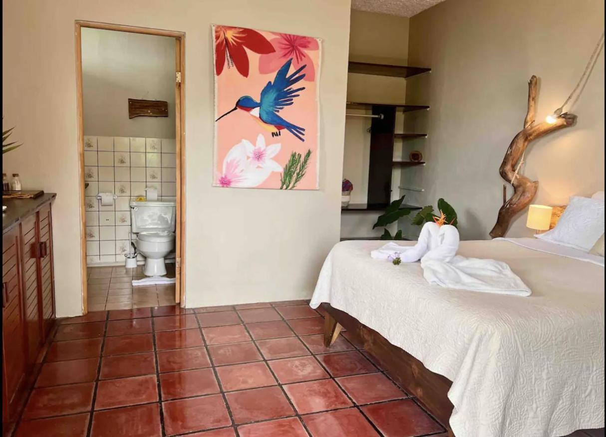 Mizaru Ocean View Hotel Manuel Antonio ケポス エクステリア 写真
